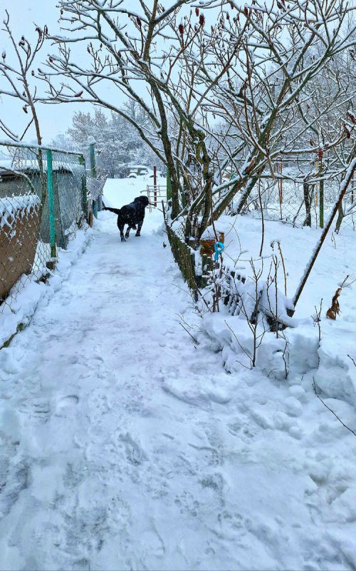 ������ ���������: �� ��� �������� � ������