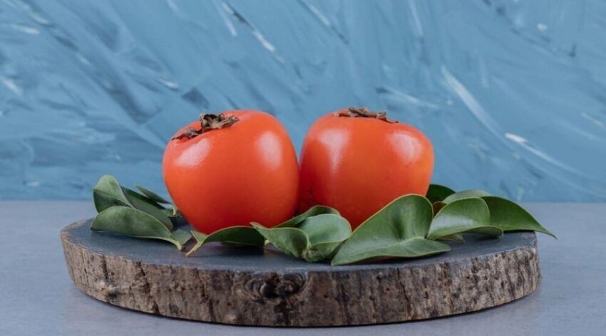 ����� �����: ���� ����� �������� ������������