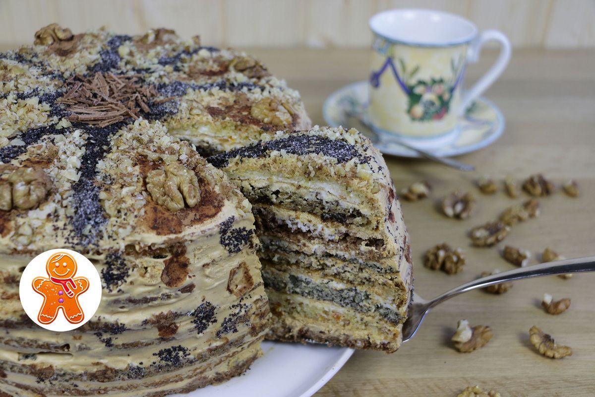 ������ ���� "������� ������": ��������� ������ ��� �������� ��������