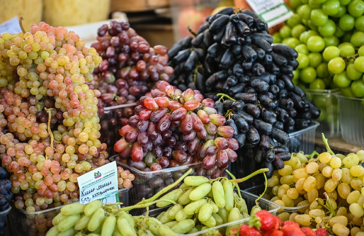 �������� �� ���������� ��������: �� ����������� �� �����������