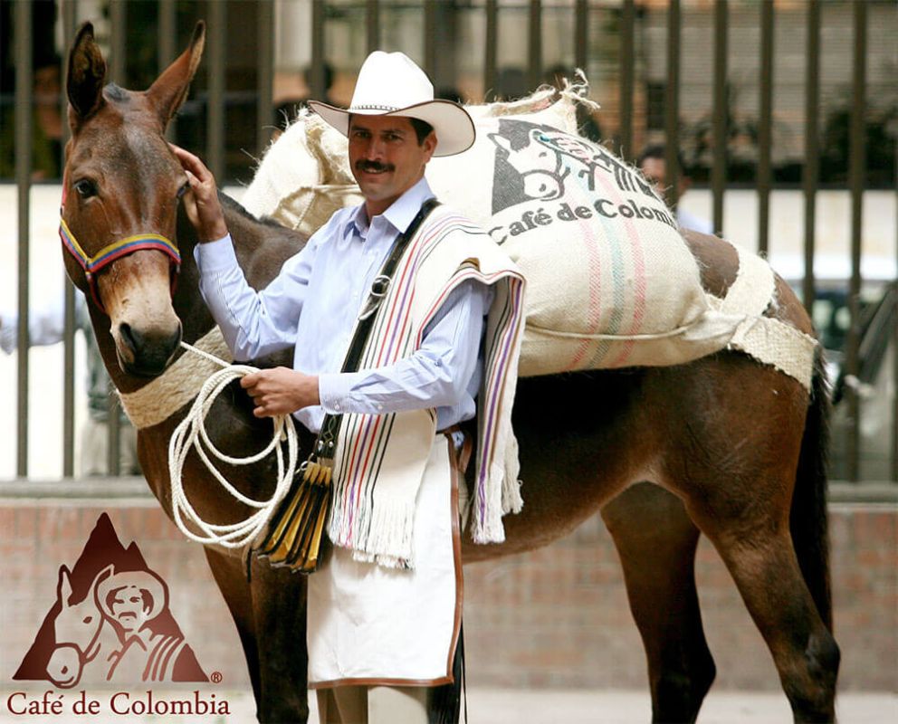 ��������: ����, ������ � ���-������