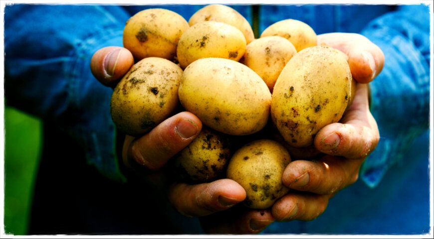 ��� ��������� ������� ���������: ��� �����, ��������� � ����