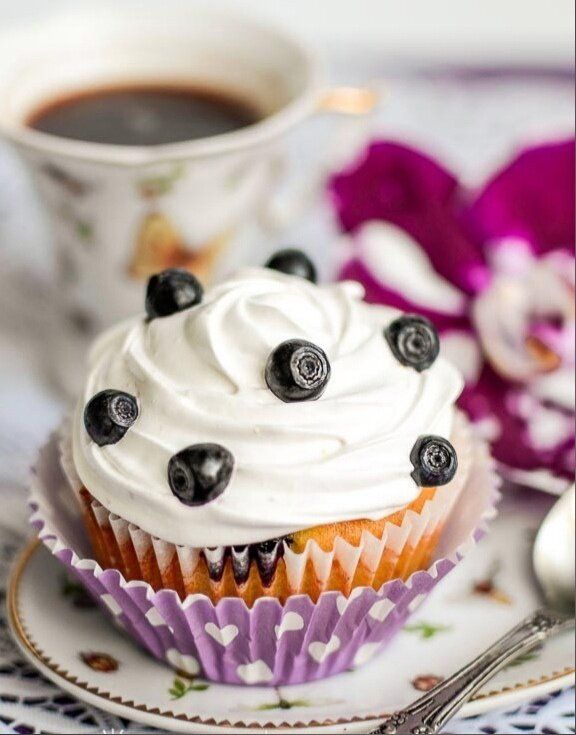 ������ ���� � �������� � ��������� �������� ������