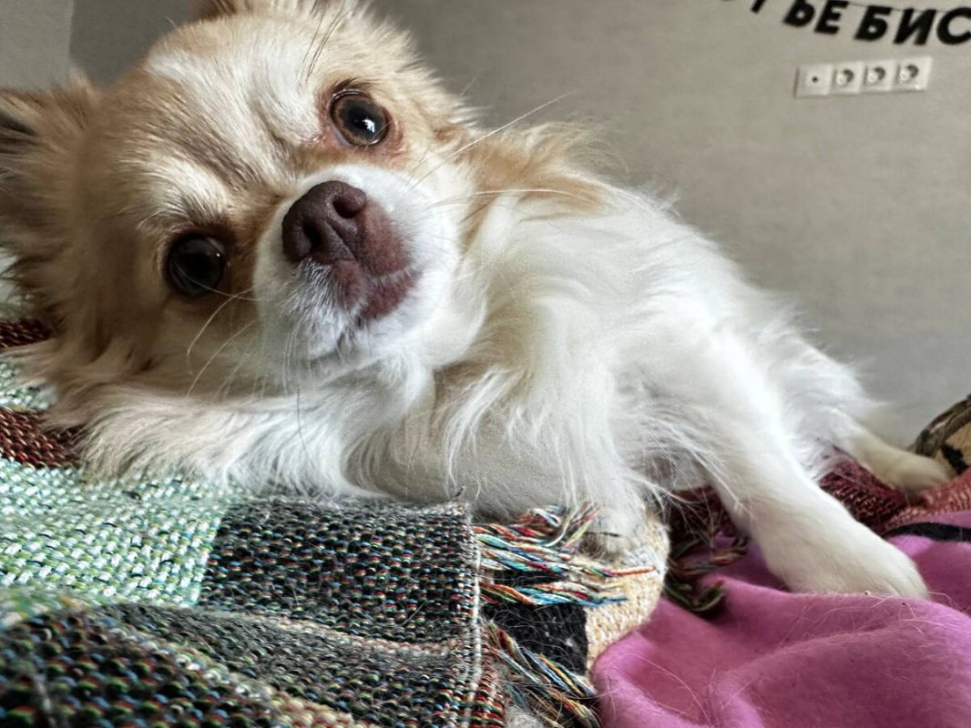 ��������� ��������: �������� ��� � ���������� ������ � ������ ��������