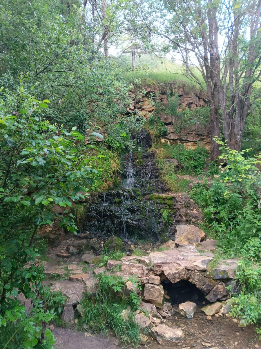 Кулинарное путешествие через воспоминания и фото