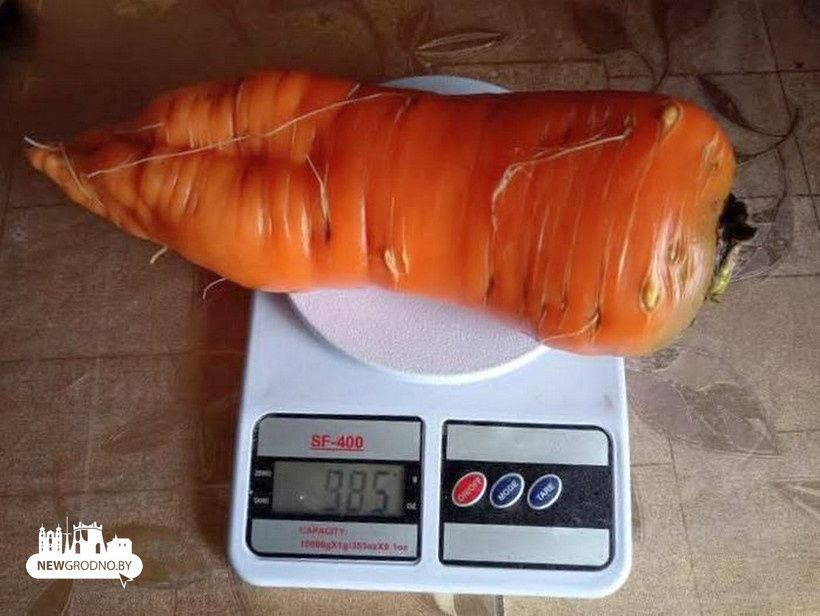 ����������� ������� ��������: ��������� ������� ����� ����� ���������