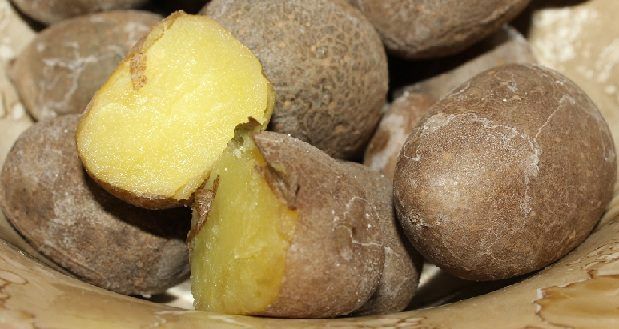 ��� �������� �������� ���������� ���� ����� 55 ���