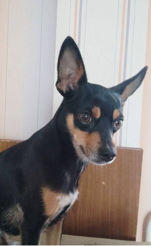 ������: ��������� ����� � ������� ��������