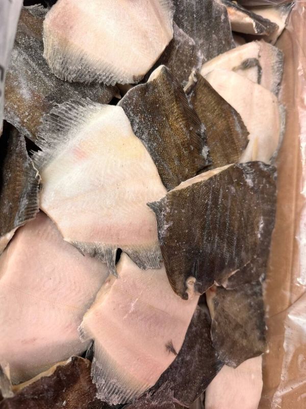 ������� �������������: ������������ ��������� �� ��������������� ����