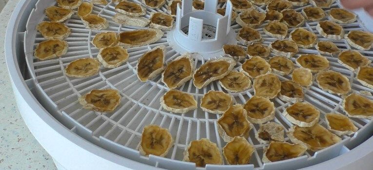 ��������� ������� ������: ������� ��������� ��������