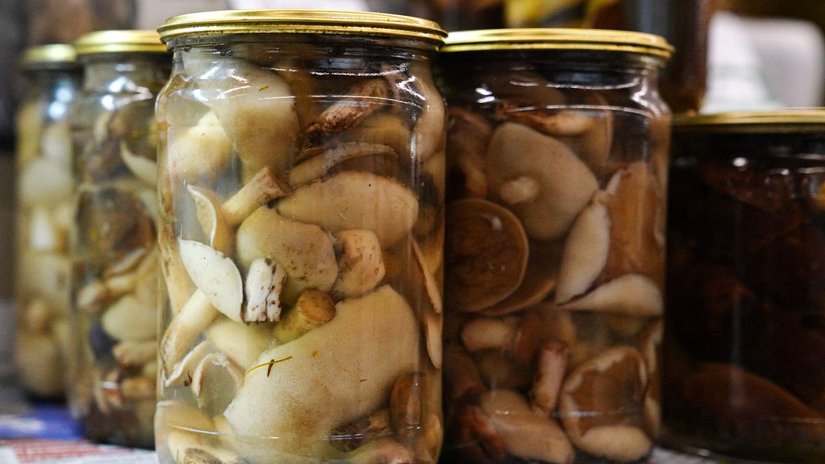 ���� �� ����� ��������: ��� ���������� �� ����� �����������