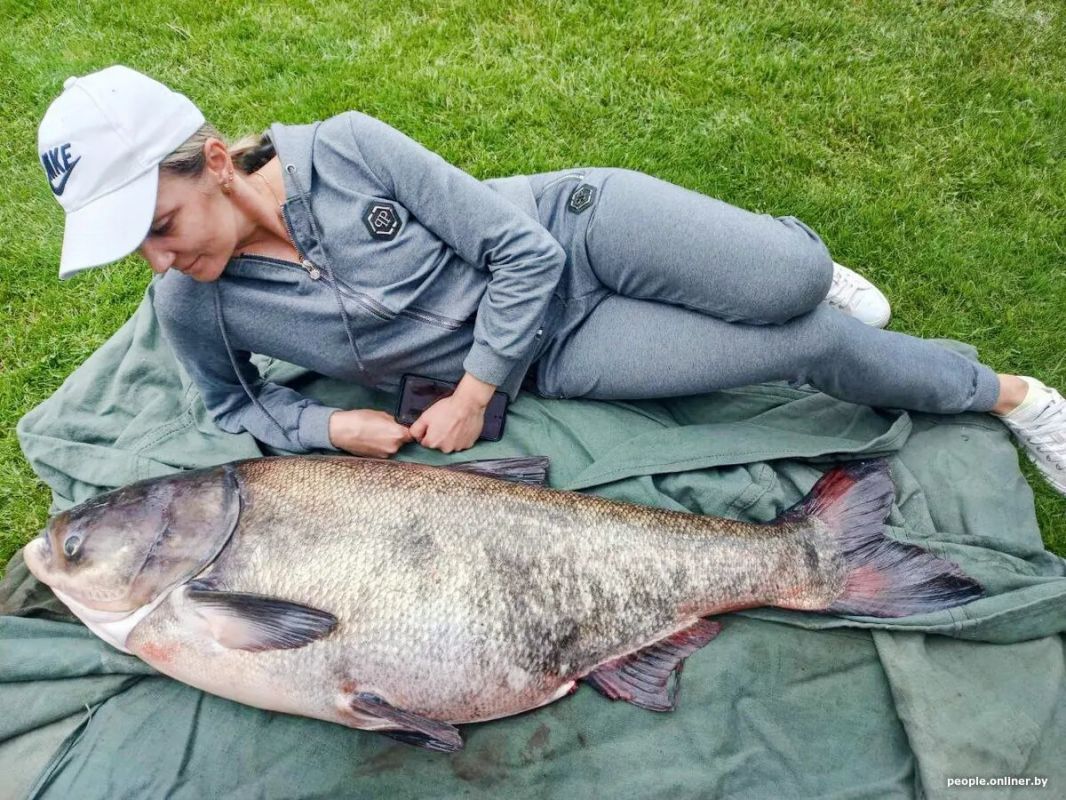 ��������������� �����������: ������ ������ � �������� ����������