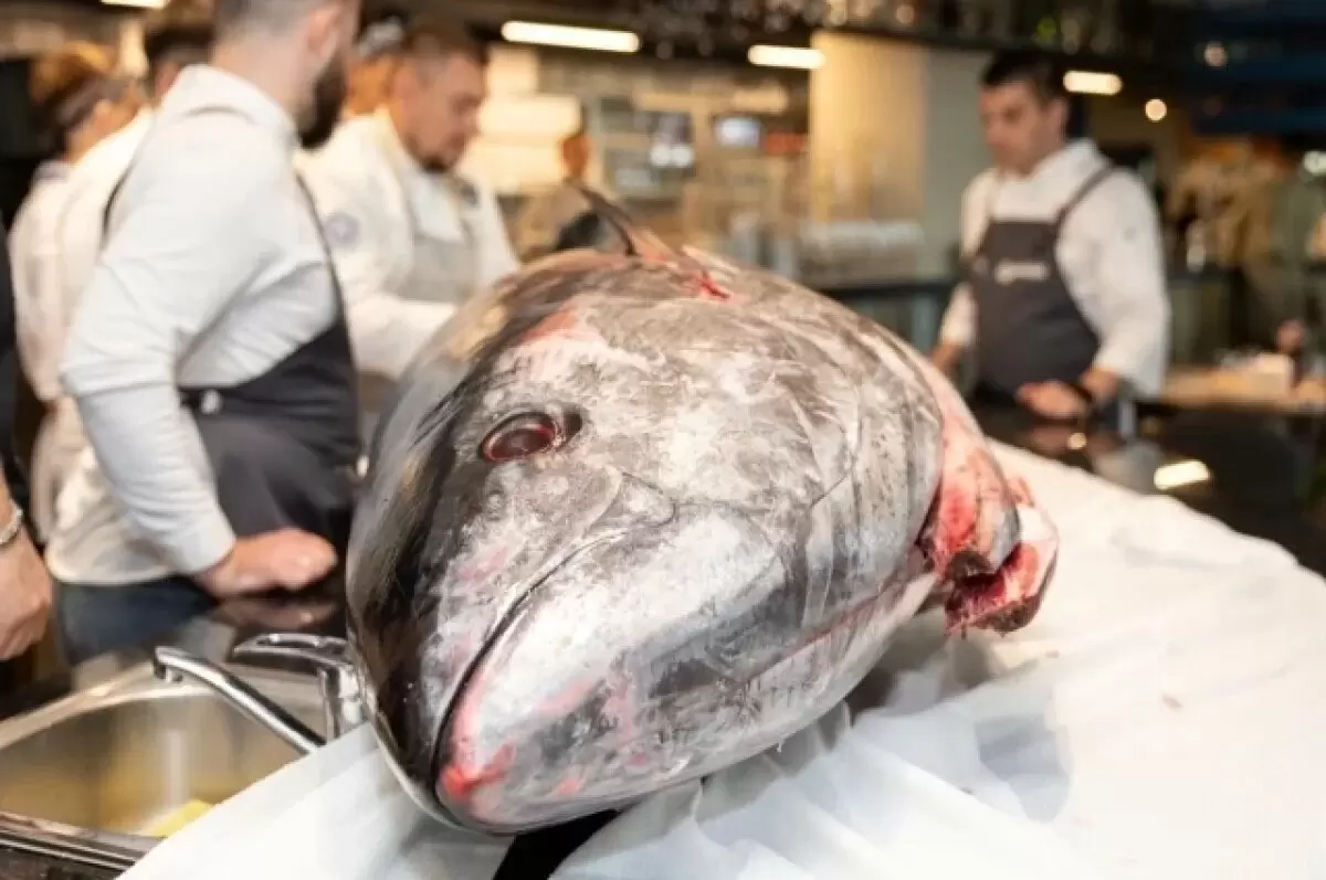 На рыболовном аукционе в Японии зафиксирована рекордная цена за тунца