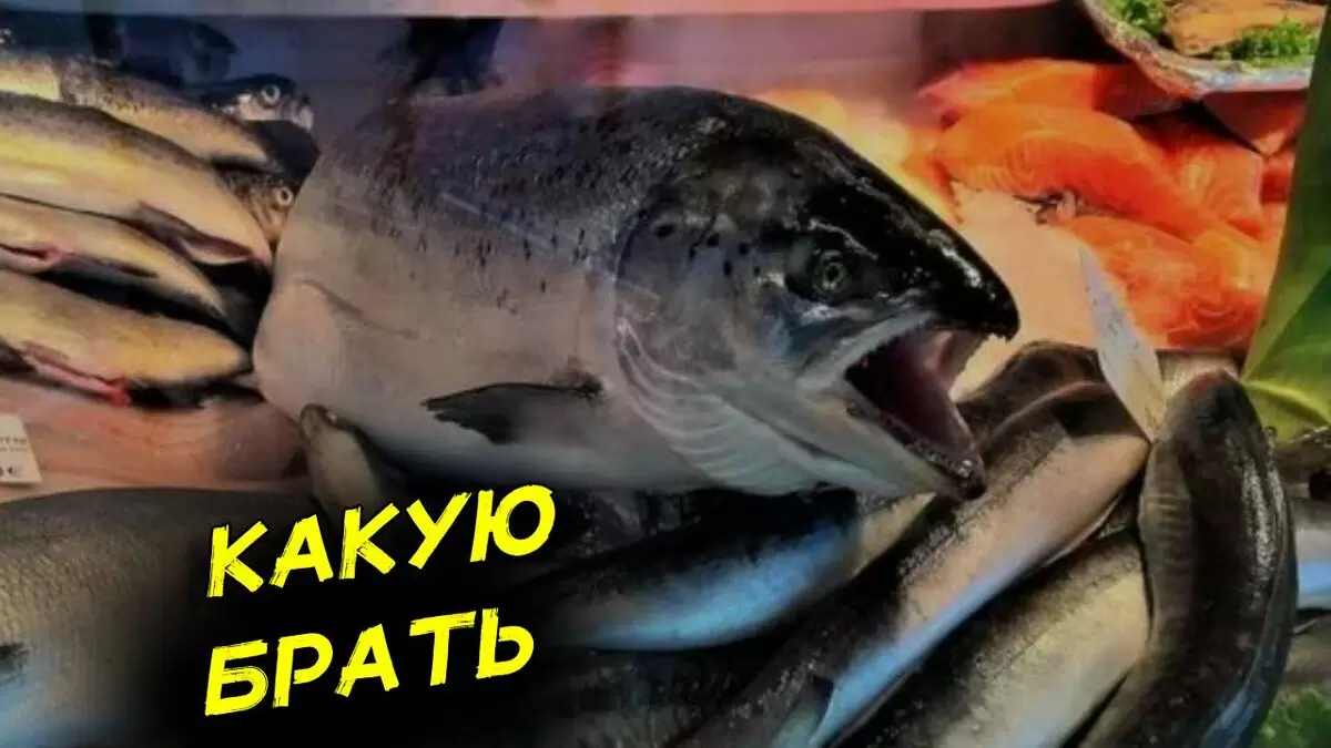 Морская vs речная форель: какую выбрать для идеального ужина?