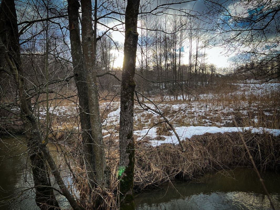 ��� ��������� ������ ���� ������ �� �������