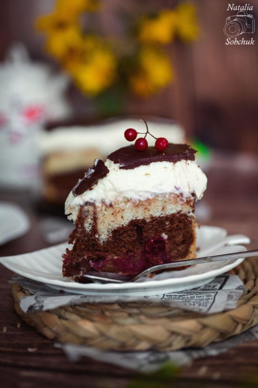 ����� �����: ��� ����������� ����������� ���� � ������ � ������ �������