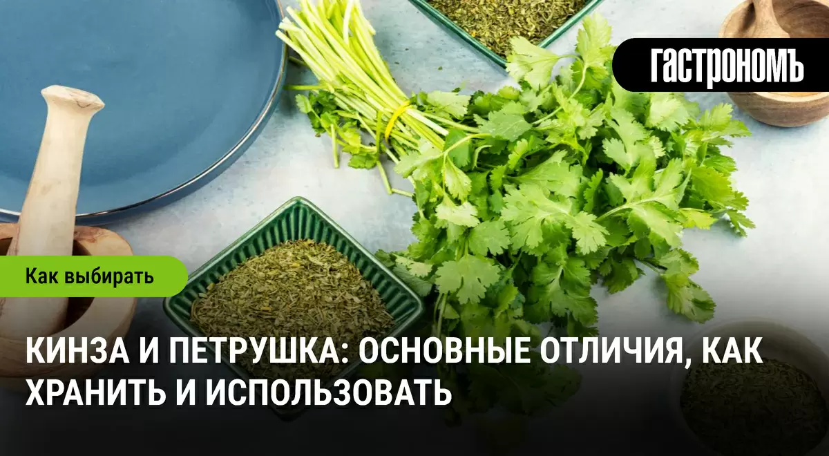Кинза и петрушка: как отличить и правильно хранить популярные травы