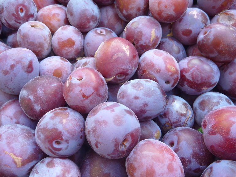 ��� ��������� ������������ �����: ������� ������ ��� ������ �������