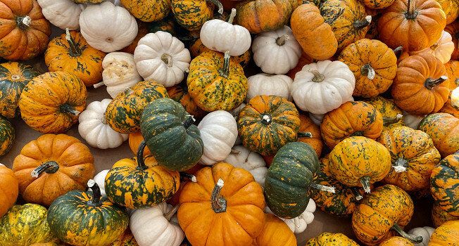 ��������� ������ �����: ��� ����� ��������� ���� ��� �������� ��������?