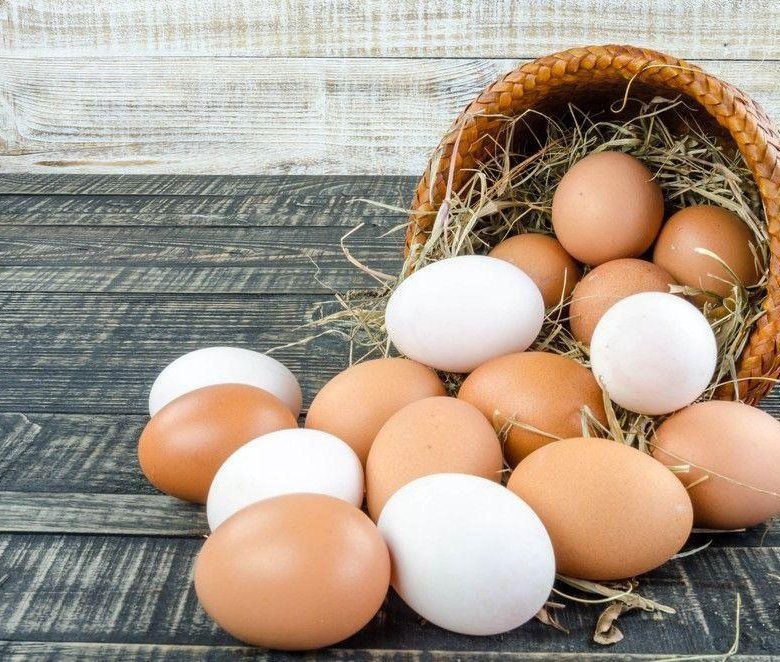 ���� �� ���� ���������: ����� ����������� ���� �����������?