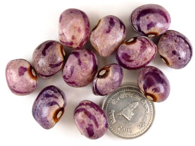 ������������ ����� ������: ��� ������� ������ ��� ������ �������