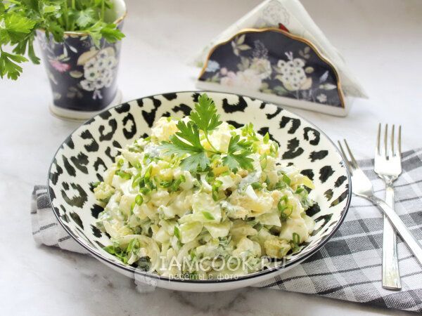 ������ ����� �������������: ����������� � ���������� ��������