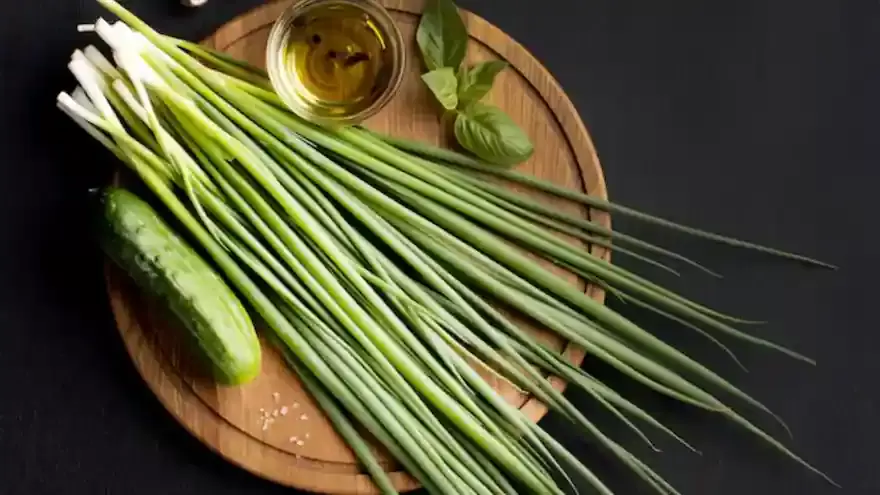 Цитрусовый вечер: как вырастить ароматные травы для вашего уюта