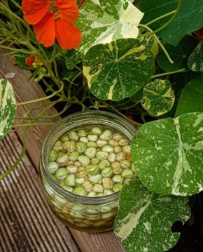 ��������� ��������� �����������: ������� ��-������