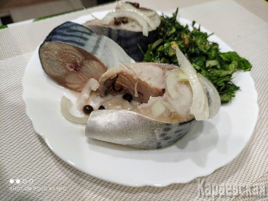 ��������� ������ ������������ ��������: ����������� ��� ��������