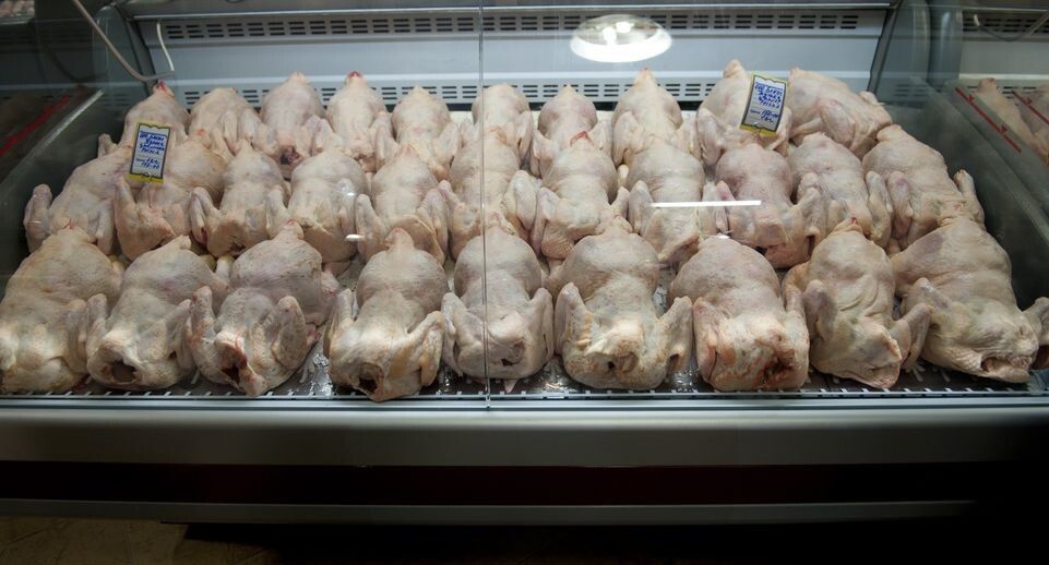 ��� ���������� ���� � ����������� ���������: ������ ���������