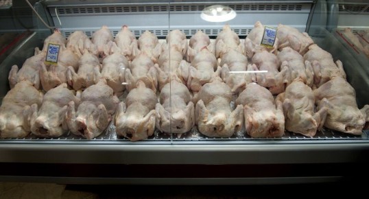 ��� ���������� ���� � ����������� ���������: ������ ���������