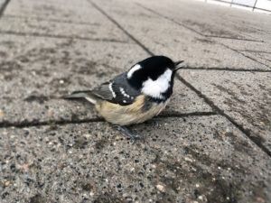 ������ ������������� �������������� ������ ��� ���� �� �������� ��������