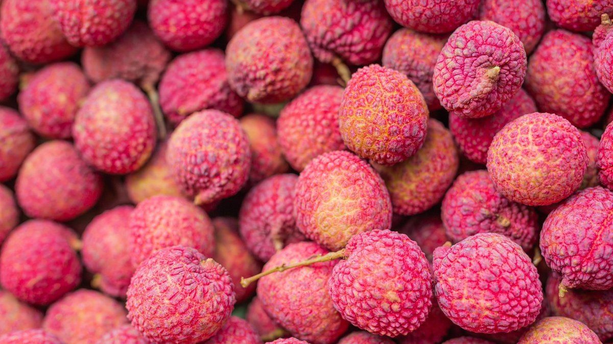 ��������� ������� � ��������: ��� ������� ����