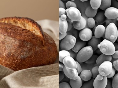 ��� ���������� � �������� ��� �������? ����� �� ������� ������� � �����