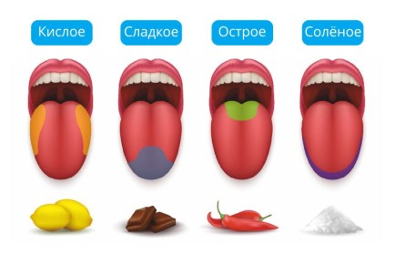 ��� ���������� �������� ������������ ��������� ���� ���������� ����