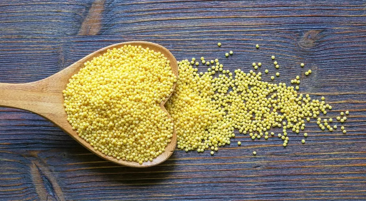 Новая звезда в мире круп