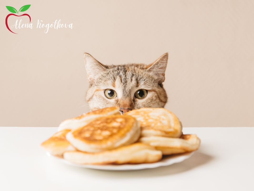 ���������: ��� ����� ������ ����� ������ ��� ����� ��� ��������?