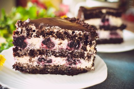 ���� ������ ������: ���������� ���������� ������