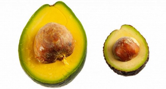 ������� ������� �������: ��� ������������ ���� ������������� �����