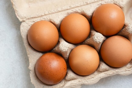 ���� �� �������: ����������� � ����� � �������