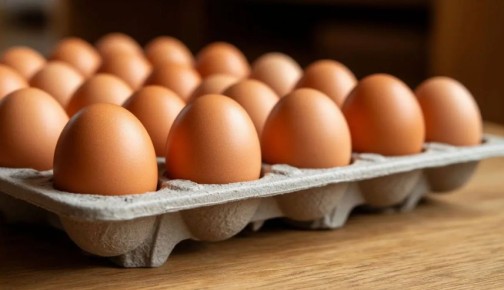 ����� ���� �����������: 7 ���������� ����������� ��� �������